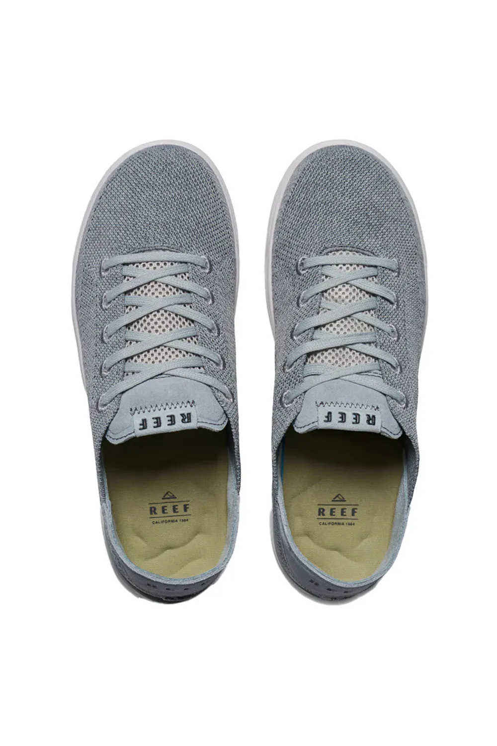 SWELLSOLE NEPTUNE Grey